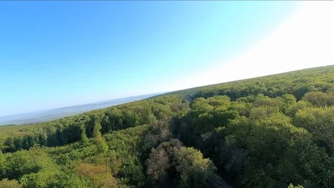 Paning above the woods Vídeos de archivo 89639770