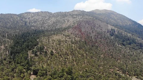 Paning Up the Ajusco Mountain Stockbeeldmateriaal 92694648