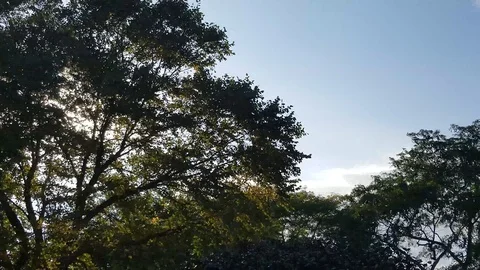 Paning clouds Stock Footage 96676856