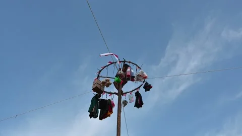 Panjat pinang Stock Footage 222523534