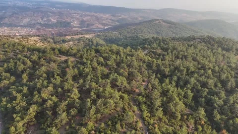 Panning Above the Forest Stock Footage 325224829