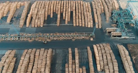Panning above a sawmill yard with rows of stacked trunks Stock Footage 105181650