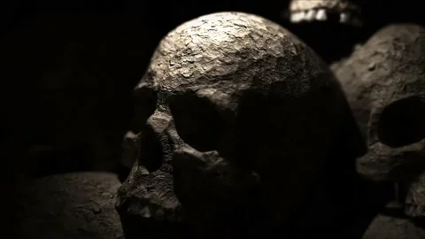 Panning acroos some skulls Stock Footage 161710516