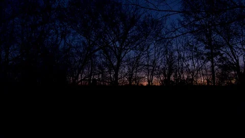 Panning across a dark sunrise in a forest Stock Footage 120866385