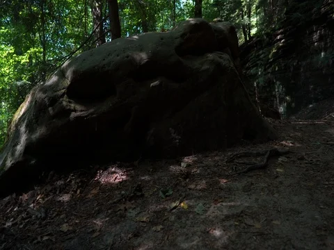 Panning across large boulder in middle of Ohio forest Stock Footage 82636172