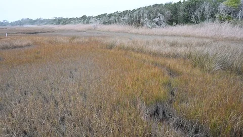 Panning across the marsh grass at Oak Island NC. Stock Footage 123256515