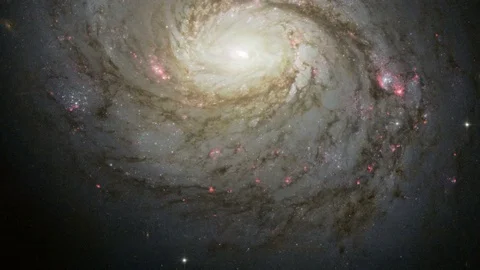 Panning Across Messier 77 스톡 동영상 73343175