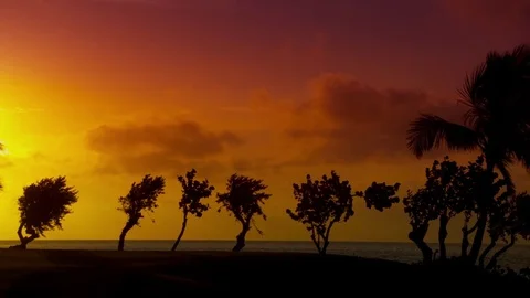 Panning Across an Ocean Front Golf Course Green Stock Footage 75268517