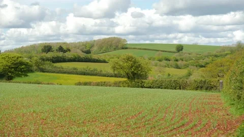 Panning across rolling fields in Torquay, Devon, England Video stock 154853930