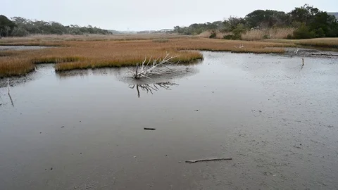Panning across the still waters of the marsh at the beach. Stock Footage 123257719