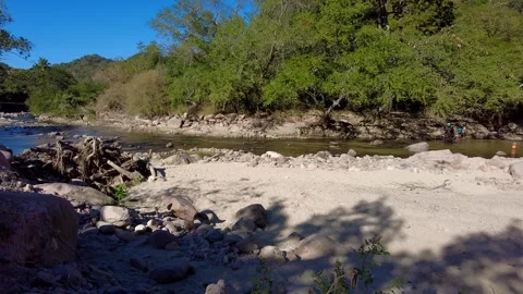 Panning along river bed with trees on bank, people in water Stock-Footage 259388483