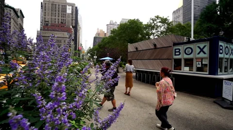 Panning and tilt up view at Flatiron Plaza, NYC. Stock-Footage 54331068