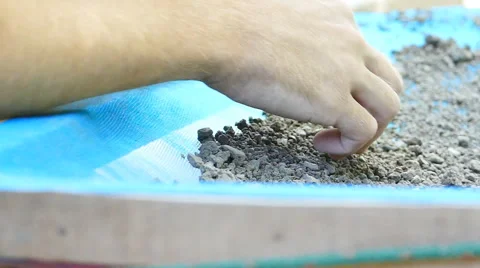 Panning for antiques. Stock Footage 53857436