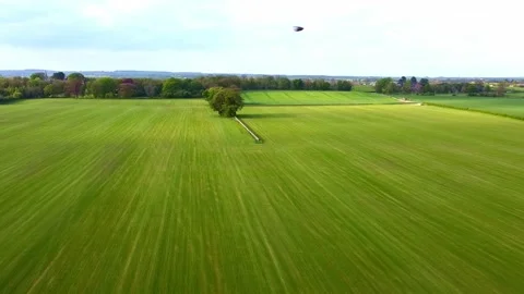 Panning Ariel Drone View of Turf Farm Grass Field Green Farmland Stock Footage 192852644