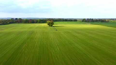 Panning Ariel Drone View of Turf Farm Grass Field Green Farmland Stock Footage 192852733