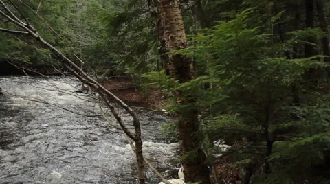 Panning around the bend in the river Stock Footage 40644829