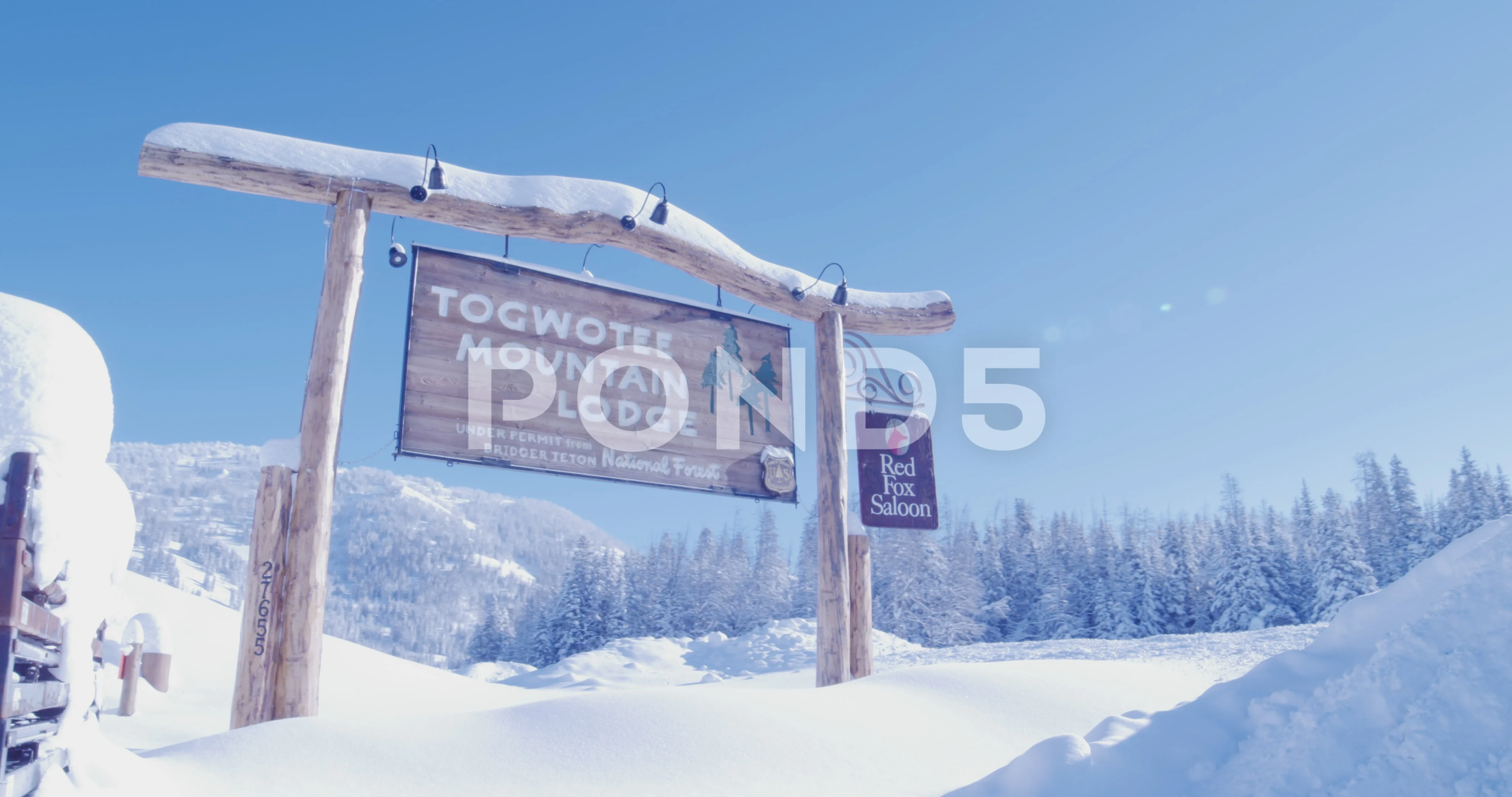 Btnf Firewood Permit Designer Sales tecnico.aspillagahornauer.cl