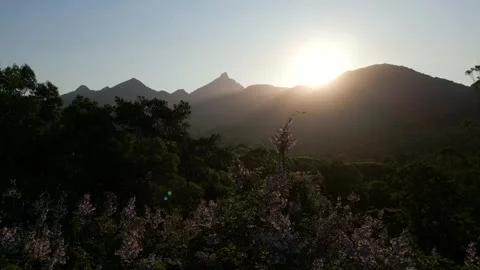 Panning around top of trees with Mt Warning in background 스톡 동영상 254038360