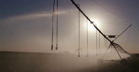 Panning backlit view of centre pivot irrigatiing vegetables Stock Footage 78195182