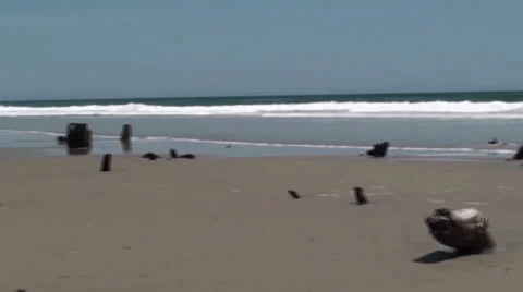 Panning the beach Stock Footage 30131814