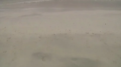 Panning up beach shot Stock Footage 30685347