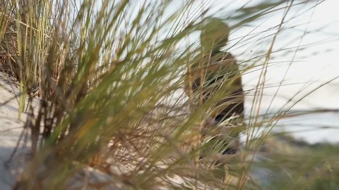 Panning from behind foliage to the back view of a young woman. Stock Footage 116437770