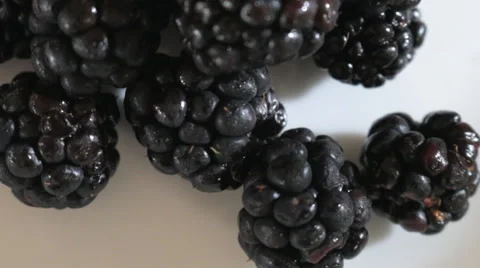 Panning of Blackberry and Cherry - Great Antioxidant Stock Footage 34016747