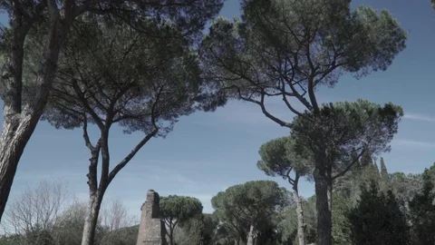 Panning to the bottom of the ancient Appian Way in Rome Stock Footage 73984061