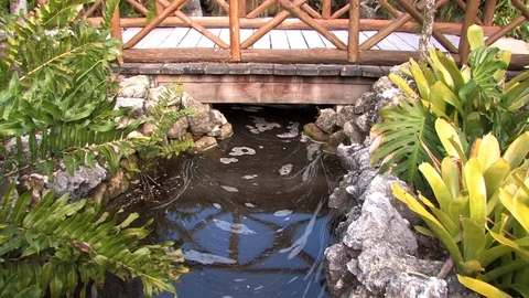 Panning up from bridge to waterfall Video stock 94136601