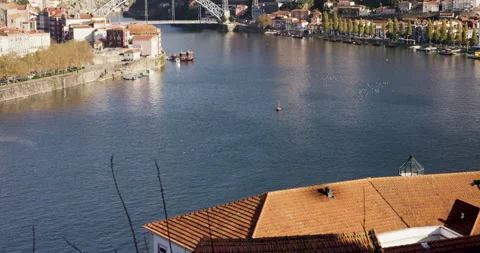 Panning of broad douro river going through capital city of Portugal on sunny day Stock Footage 155250198