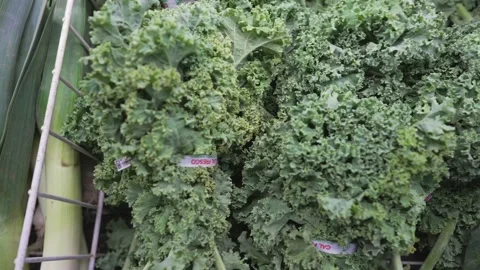 Panning broccoli leeks and spinach Stock Footage 156874033