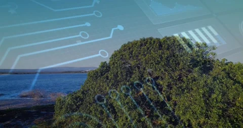 Panning camera revealing large dense coastal shrub at shoreline, with microchip Video stock 330621496