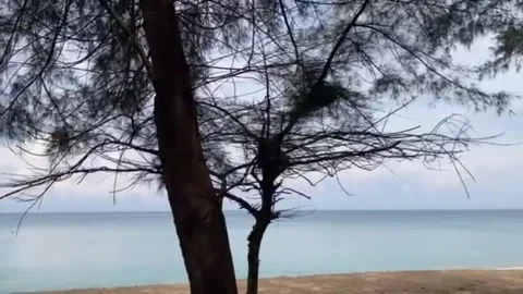 Panning camera from right to left of the forest and bright blue sea Stock Footage 196979124