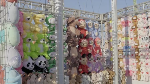 Panning carnival prizes Stock Footage 288050371
