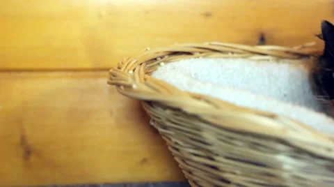 Panning by a cat in a basket Stock Footage 4216656