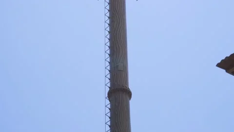 Panning a close-up of a camouflaged cellular antenna in a lying tree Видео 150678534