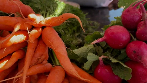 Panning Close Up Of Fresh Orange Carrots And Red Radishes At Market Stall 4K Vídeos de archivo 346644811