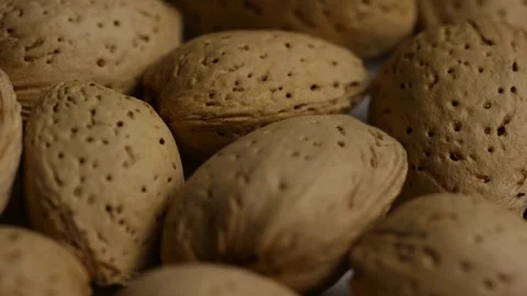 Panning close up over pile of raw almond shells Stock Footage 327909950