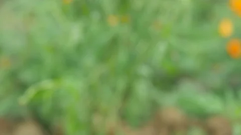 Panning of the cosmos Stock Footage 98836317