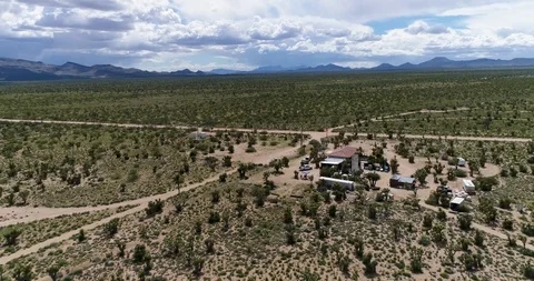 Panning Desert Grounds and Blue Sky with Joshua Trees Video stock 114775893