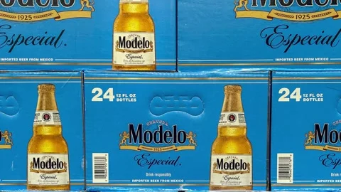 Modelo Stock Footage ~ Royalty Free Stock Videos | Pond5