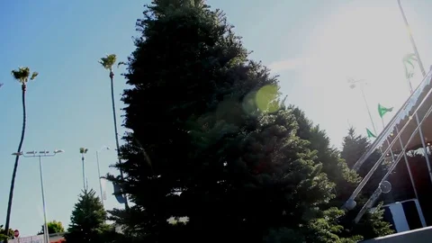 Panning down to a Christmas tree Stock Footage 82721676