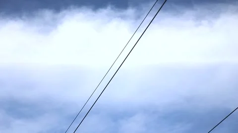 Panning Down the Power Lines Revealing an Evergreen Forest 库存影片 62493310
