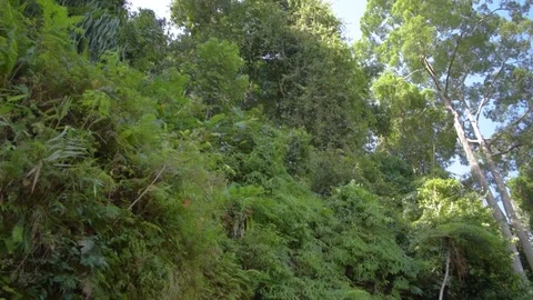 Panning down shot of a high river bank Stock Footage 93594391