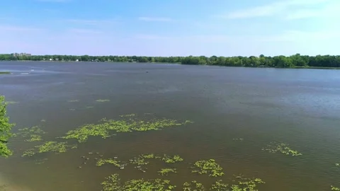 Panning down showing the other side of the river and the geese 動画素材 136423769