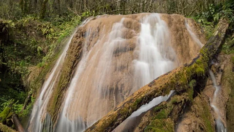 Panning down view of the waterfall with old trees covered by moss Stock Footage 142124500