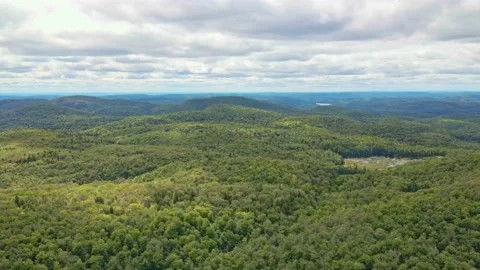 Panning with a drone from right to left high above the forest of a park Stock-Footage 170403606