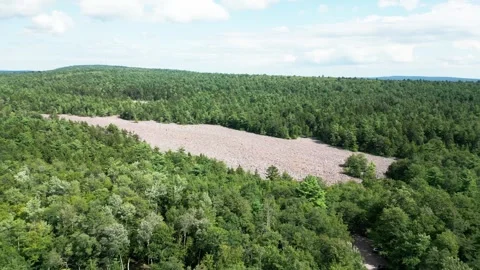 Panning drone shot of boulder field in Hickory Run State Park, rec709 4k Vidéo 282591756