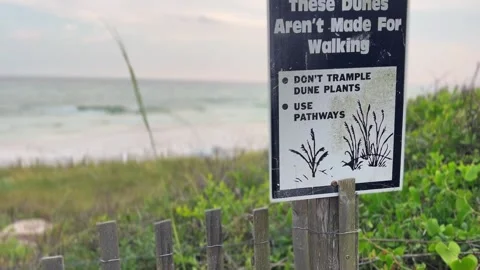 Panning Up Dunes Aren't Made For Walking Ocean View Gulf Coast Conservation Stock Footage 244756398