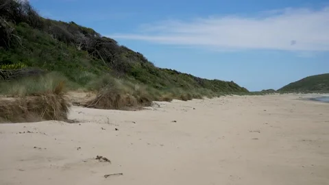 Panning from an empty Island beach to the edge of a forest, New Zealand. Stock Footage 260773424